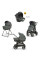 Коляска 3в1 Inglesina APTICA XT QUATTRO DARWIN RECLINE