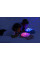 Нічник з проектором Cloud b Twinkling Twilight Turtle