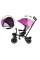 Дитячий трьохколісний велосипед Tiny Bike 3в1 SP0650 Rose