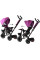 Дитячий трьохколісний велосипед Tiny Bike 3в1 SP0650 Rose