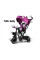 Дитячий трьохколісний велосипед Tiny Bike 3в1 SP0650 Rose