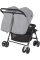 Прогулянкова коляска для двійні Graco DuoRider