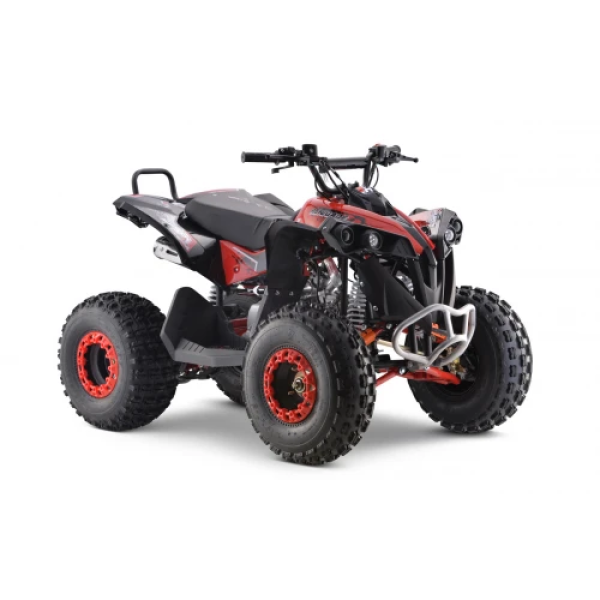 Дитячий квадроцикл на пальне Ramiz RENEGADE HighPer 125CC
