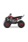 Дитячий квадроцикл на пальне Ramiz RENEGADE HighPer 125CC