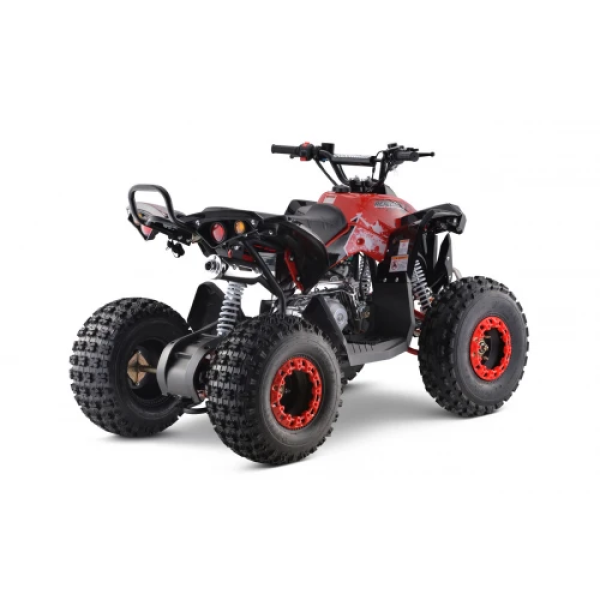 Дитячий квадроцикл на пальне Ramiz RENEGADE HighPer 125CC