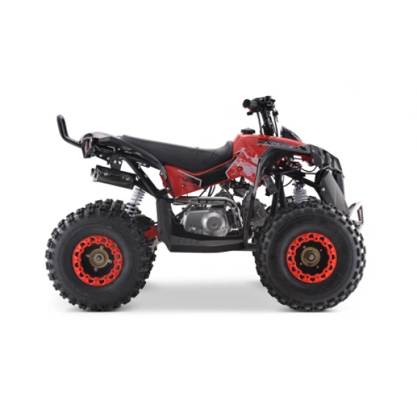 Дитячий квадроцикл на пальне Ramiz RENEGADE HighPer 125CC