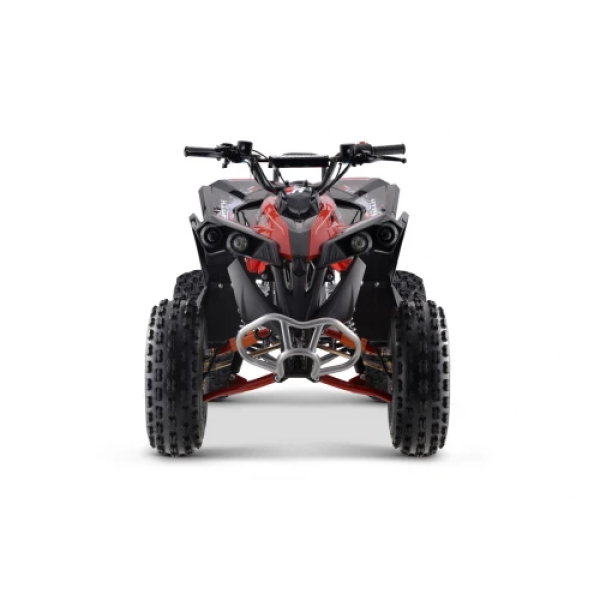 Дитячий квадроцикл на пальне Ramiz RENEGADE HighPer 125CC