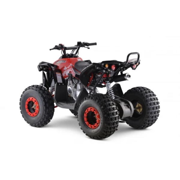 Дитячий квадроцикл на пальне Ramiz RENEGADE HighPer 125CC