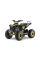 Дитячий квадроцикл на пальне Ramiz RENEGADE HighPer 125CC