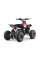 Детский квадроцикл на горючее Ramiz RENEGADE HighPer 110CC