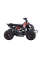 Детский квадроцикл на горючее Ramiz RENEGADE HighPer 110CC
