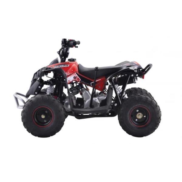 Детский квадроцикл на горючее Ramiz RENEGADE HighPer 110CC
