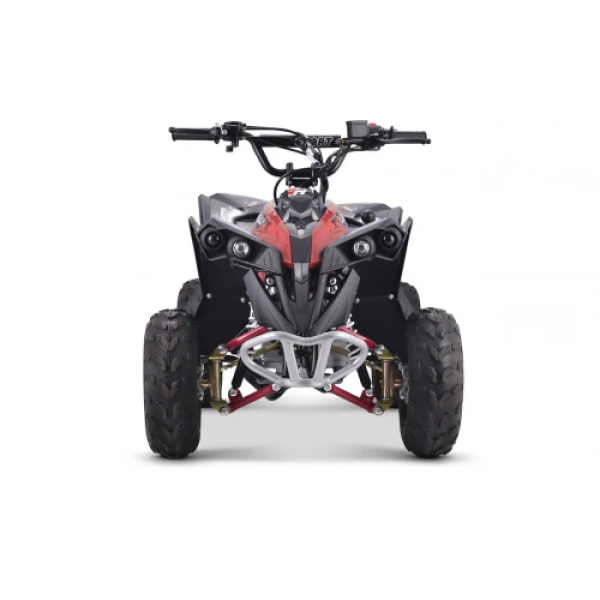 Детский квадроцикл на горючее Ramiz RENEGADE HighPer 110CC