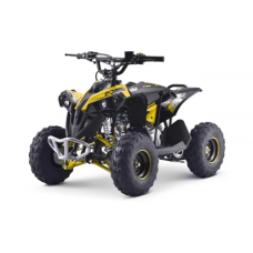Детский квадроцикл на горючее Ramiz RENEGADE HighPer 110CC