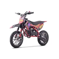 Детский байк на горючее Ramiz RENEGADE 50R