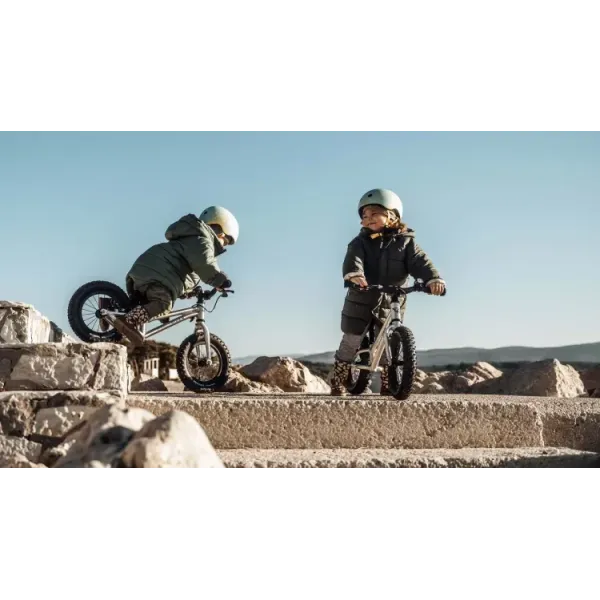 Велобіг Early Rider BALANCE BIKES Bigfoot 12"
