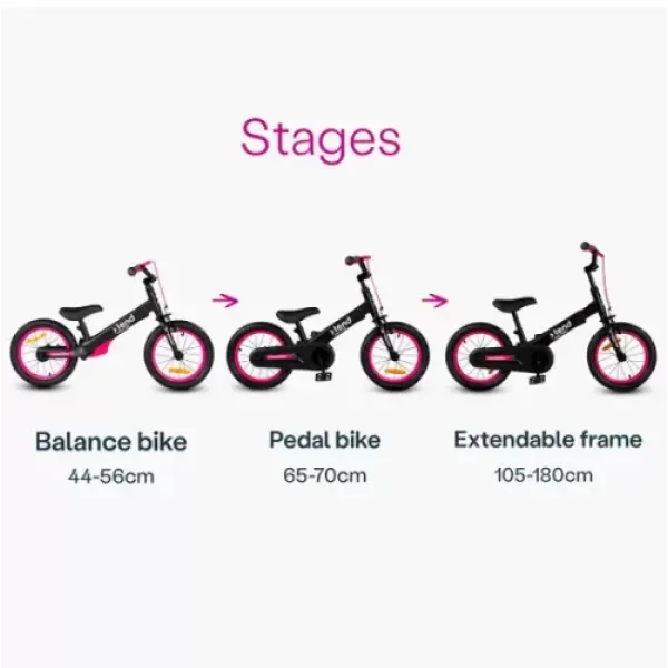 Дитячий велосипед 3в1 Smart Trike Xtend Bike