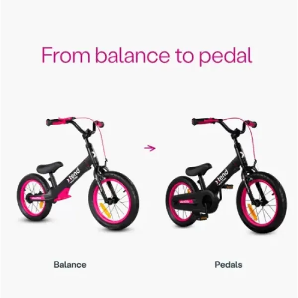 Дитячий велосипед 3в1 Smart Trike Xtend Bike