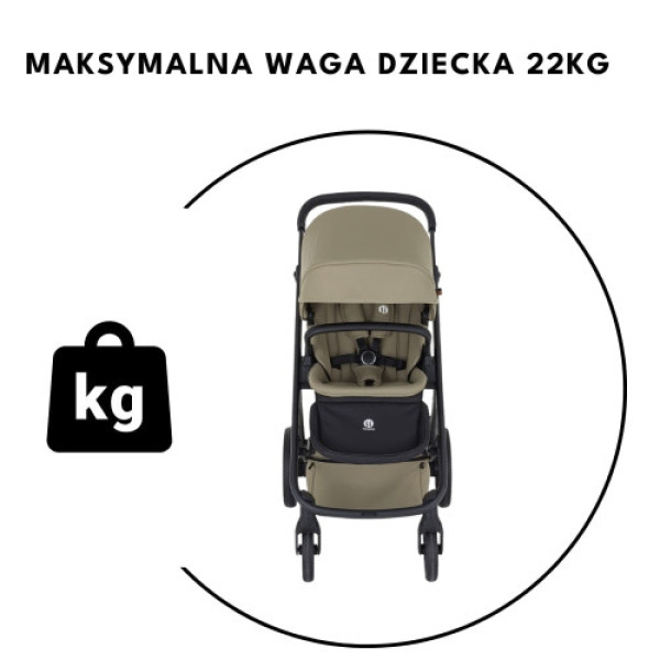 Коляска 2в1 Petite and Mars Icon AIR