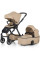 Коляска 2в1 Petite and Mars Icon RWS