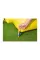 Детский комплекс с бассейном Bestway 53345