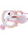 Детский велосипед RoyalBaby Little Swan 14'' RB14-18 с корзиной
