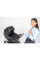 Коляска 2в1 Bebetto Loren Premium Class Gloss