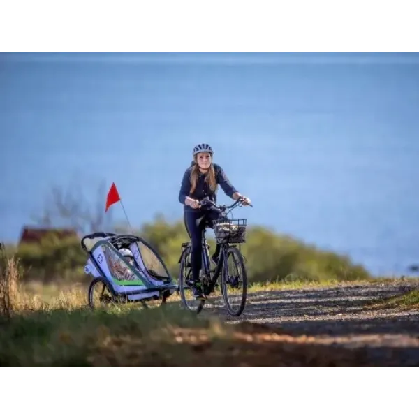 Велосипедний причіп Hamax BREEZE ONE