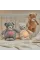Плюшевая сенсорная игрушка NATTOU Sleepy Bear 4в1