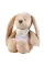 Плюшевая сенсорная игрушка 4в1 NATTOU Sleepy Bunny