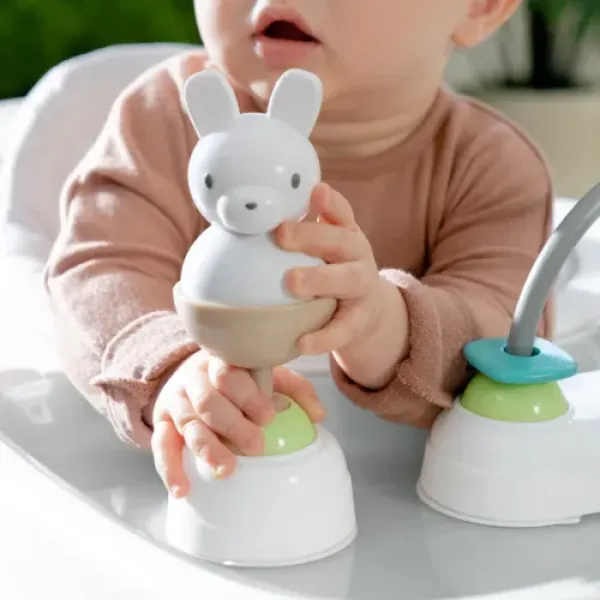 Ходунки 3в1 INGENUITY Step & Sprout First Forest