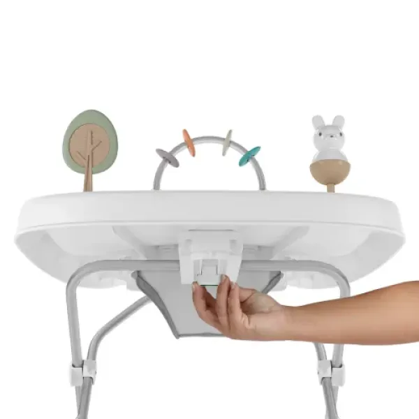 Ходунки 3в1 INGENUITY Step & Sprout First Forest