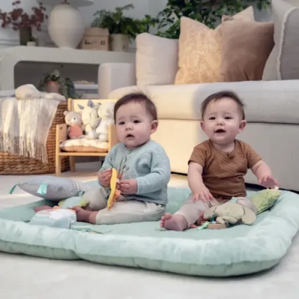 Развивающий коврик INGENUITY Calm Springs Chic Boutique
