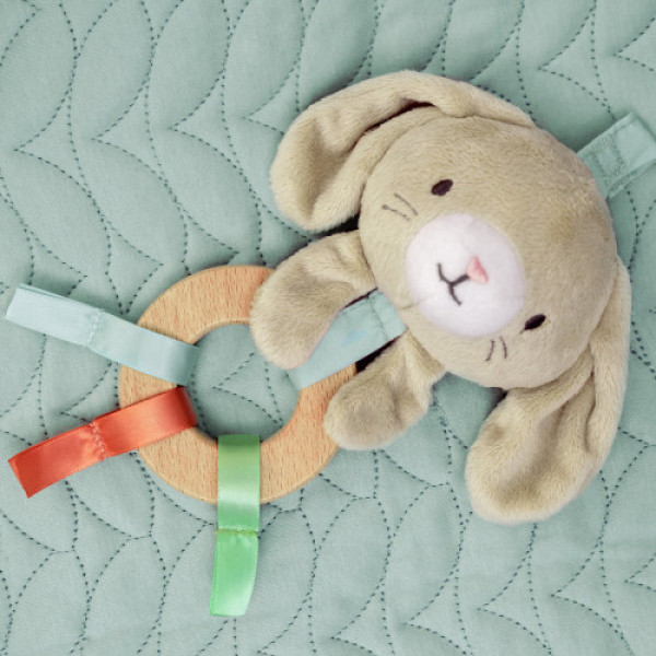 Развивающий коврик INGENUITY Calm Springs Chic Boutique