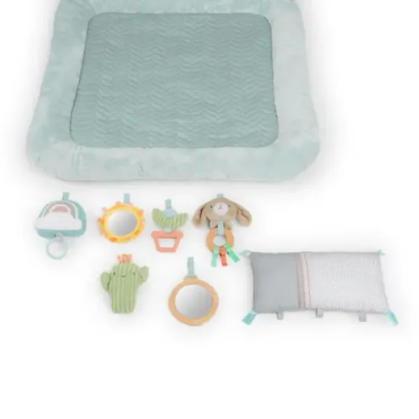 Развивающий коврик INGENUITY Calm Springs Chic Boutique