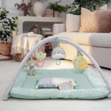 Развивающий коврик INGENUITY Calm Springs Chic Boutique