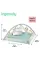Развивающий коврик INGENUITY Calm Springs Chic Boutique