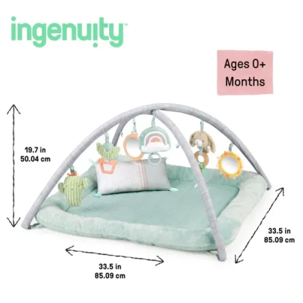 Развивающий коврик INGENUITY Calm Springs Chic Boutique