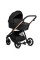 Коляска 2в1 Tutis Mio 3+ Black Colletion