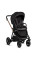Коляска 2в1 Tutis Mio 3+ Black Colletion