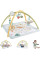 Развивающий коврик FISHER PRICE с дугами PREMIUM