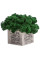Декор Gray Marble Moss квадратний