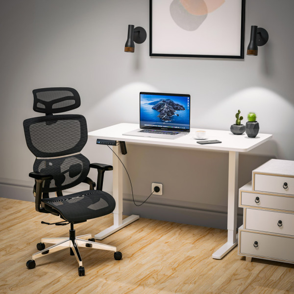 Стол Mealux PowerDesk Lite White с электрорегулировкой высоты (арт. EVO-201 Lite W/W) - столешница белая  / ножки белые (коробок-2 шт.)