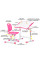 Комплект Evo-kids (стол+стул) Evo-07 Ergo Pink (арт. Evo-07 Ergo PN) - столешница белая / цвет пластика розовый (коробок-1 шт.)