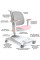 Дитяче крісло Mealux Supra Air Pink Grey (арт.Y-108 KPG) - оббивка сіра / рожева (коробок-1 шт.)