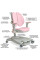 Дитяче крісло Mealux Supra Duo Plus Pink (арт.Y-116 KP) - оббивка рожева (коробок-1 шт.)