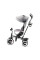 Трехколесный велосипед Kinderkraft Aston Grey (KKRASTOGRY0000)