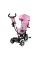 Трехколесный велосипед Kinderkraft Aston Pink (KKRASTOPNK0000)