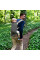 Переноска Kinderkraft Huggy Bird (KKNHUGGBIR0000)