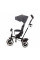 Трехколесный велосипед Kinderkraft Aston Malachite Grey (KRASTO00GRY0000)
